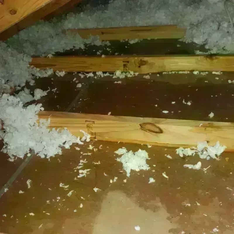 Attic Water Damage in Pulaski County, MO