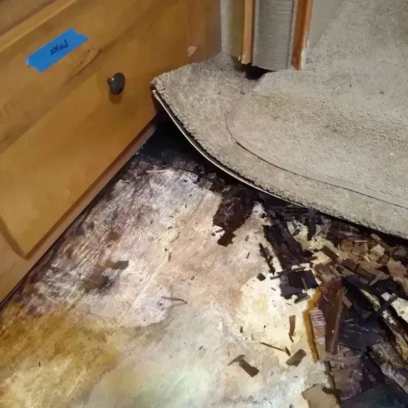 Wood Floor Water Damage in Pulaski County, MO